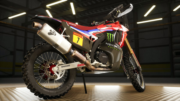 Игра Dakar Desert Rally, скриншот