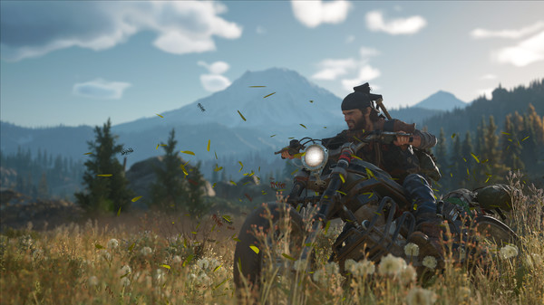 Игра Days Gone, скриншот
