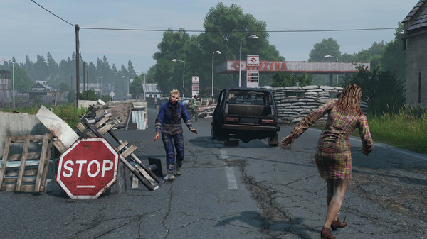 Игра DayZ Livonia, скриншот