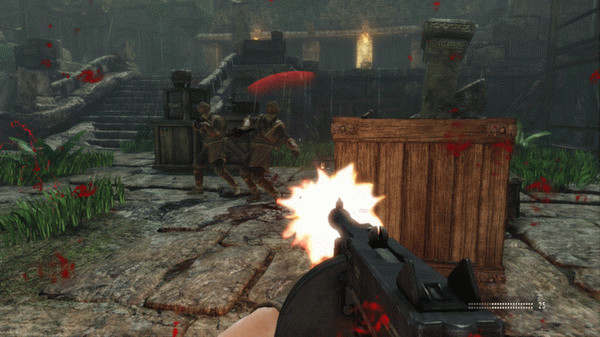 Игра Deadfall Adventures, скриншот