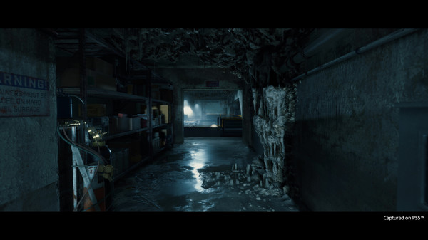 Игра DEATH STRANDING DIRECTOR'S CUT, скриншот