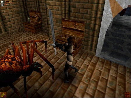 Игра Deathtrap Dungeon, скриншот