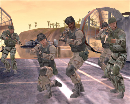 Игра Delta Force — Black Hawk Down: Team Sabre, скриншот