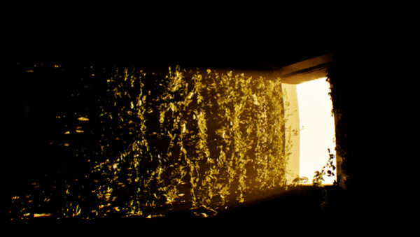 Игра DEPRISION, скриншот