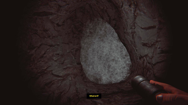Игра Depths Of Horror: Mushroom Day, скриншот