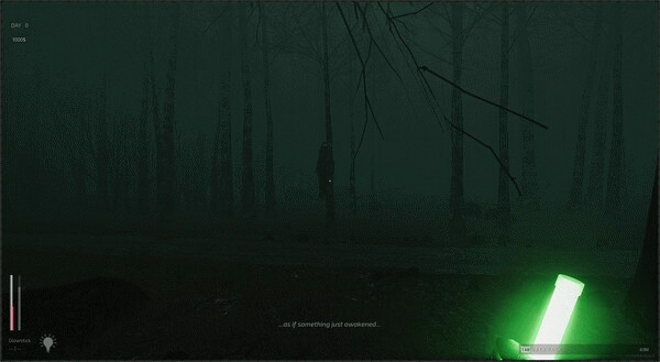 Игра Descending The Woods, скриншот