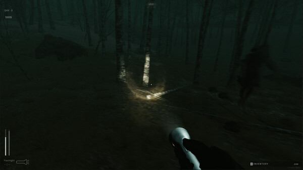 Игра Descending The Woods, скриншот