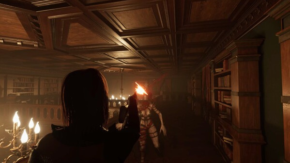 Игра Despair: Blood Curse, скриншот