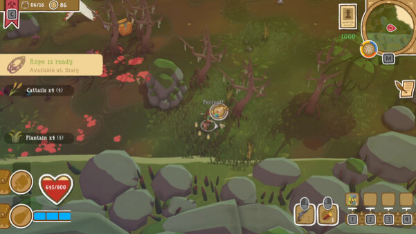 Игра Dino Path Trail, скриншот