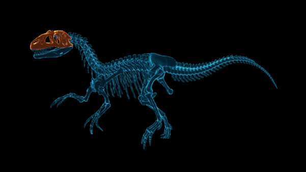 Игра Dinosaur Fossil Hunter - симулятор палеонтологии, скриншот