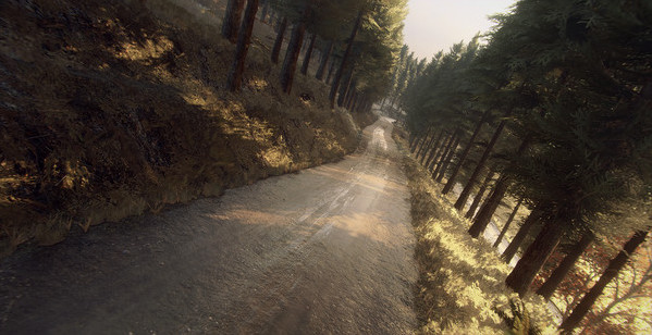 Игра DiRT Rally 2.0 - Colin McRae: FLAT OUT Pack, скриншот
