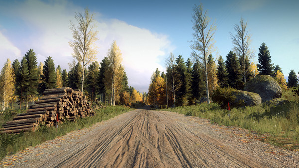 Игра DiRT Rally 2.0 - Finland (Rally Location), скриншот