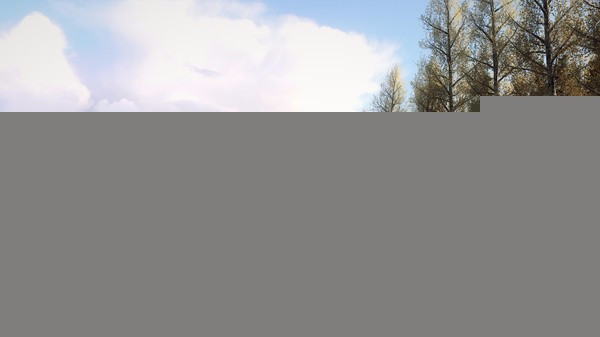 Игра DiRT Rally 2.0 - Finland (Rally Location), скриншот