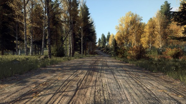 Игра DiRT Rally 2.0 - Finland (Rally Location), скриншот