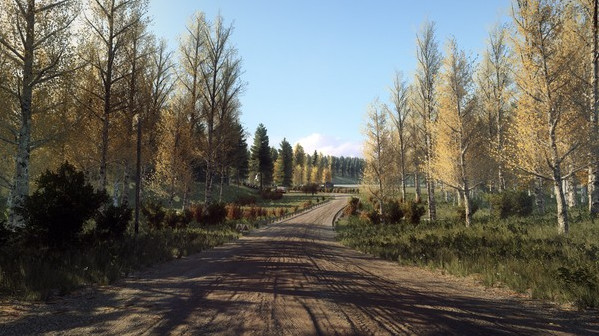 Игра DiRT Rally 2.0 - Finland (Rally Location), скриншот