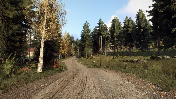 Игра DiRT Rally 2.0 - Finland (Rally Location), скриншот
