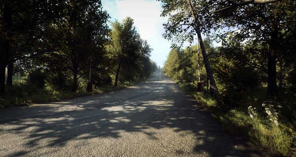 Игра DiRT Rally 2.0 - Germany (Rally Location), скриншот