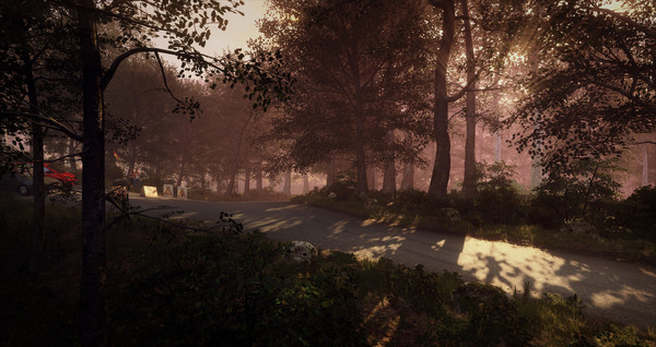 Игра DiRT Rally 2.0 - Germany (Rally Location), скриншот