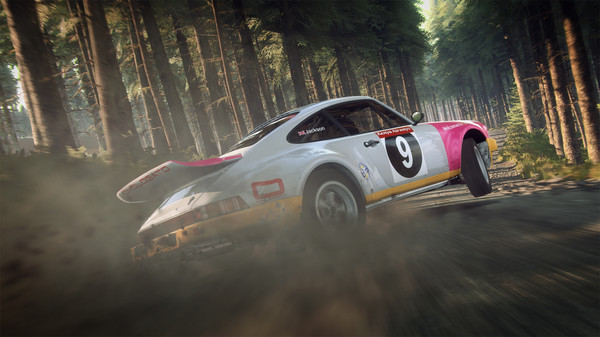 Игра DiRT Rally 2.0, скриншот