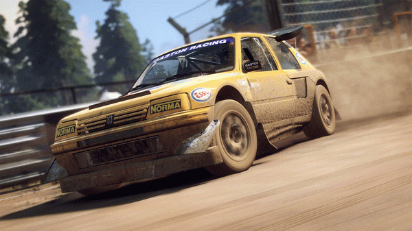 Игра DiRT Rally 2.0, скриншот