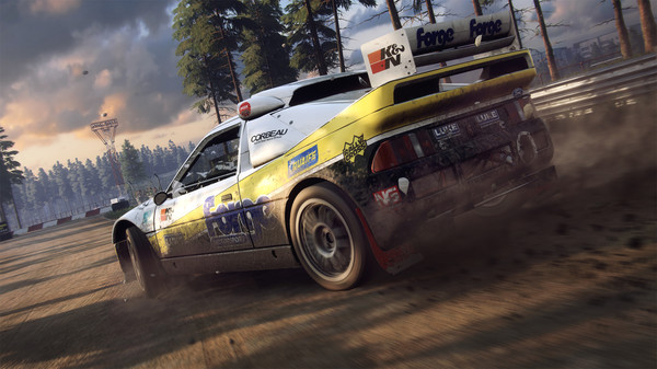 Игра DiRT Rally 2.0, скриншот