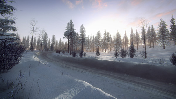Игра DiRT Rally 2.0 - Sweden (Rally Location), скриншот