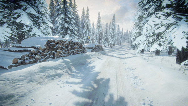 Игра DiRT Rally 2.0 - Sweden (Rally Location), скриншот
