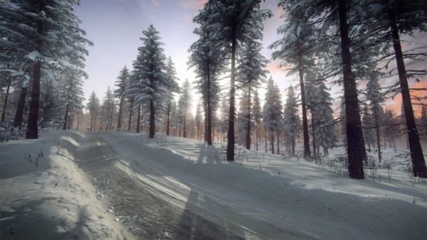 Игра DiRT Rally 2.0 - Sweden (Rally Location), скриншот