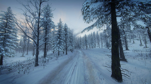 Игра DiRT Rally 2.0 - Sweden (Rally Location), скриншот