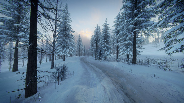 Игра DiRT Rally 2.0 - Sweden (Rally Location), скриншот