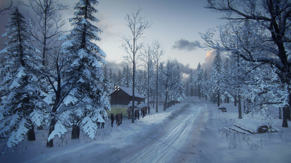 Игра DiRT Rally 2.0 - Sweden (Rally Location), скриншот