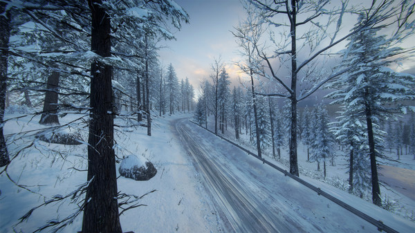 Игра DiRT Rally 2.0 - Sweden (Rally Location), скриншот