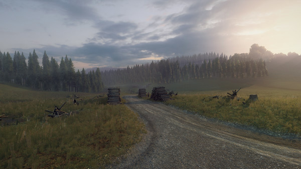 Игра DiRT Rally 2.0 - Wales (Rally Location), скриншот