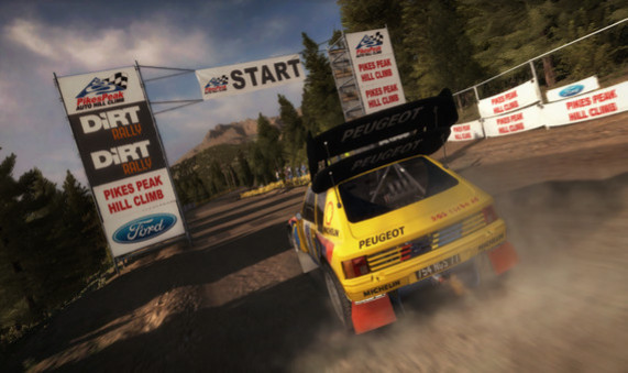 Игра DiRT Rally, скриншот