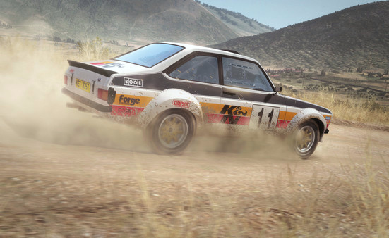 Игра DiRT Rally, скриншот