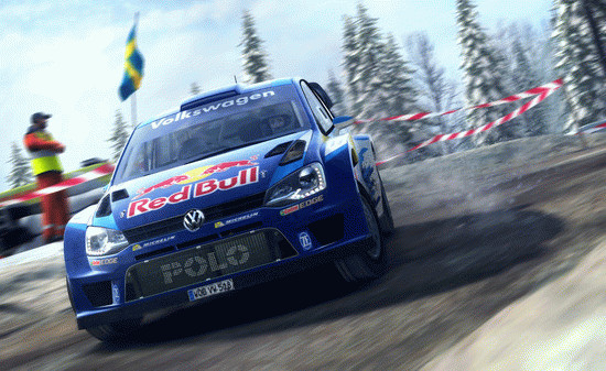 Игра DiRT Rally, скриншот
