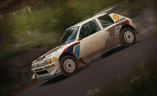 Игра DiRT Rally, скриншот