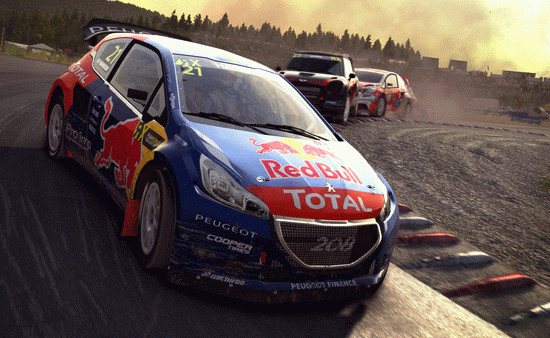 Игра DiRT Rally, скриншот