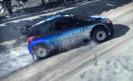Игра DiRT Rally, скриншот