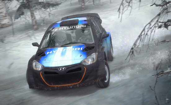 Игра DiRT Rally, скриншот