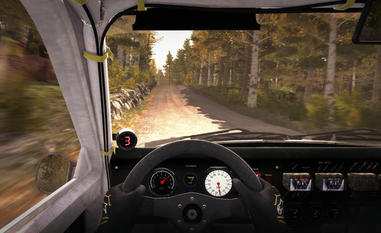 Игра DiRT Rally, скриншот