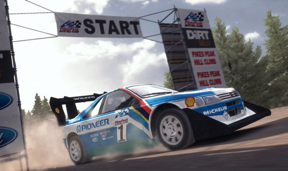 Игра DiRT Rally, скриншот