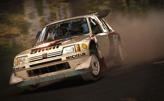 Игра DiRT Rally, скриншот