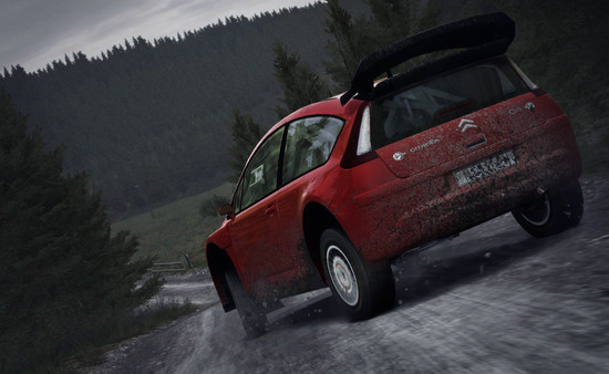 Игра DiRT Rally, скриншот