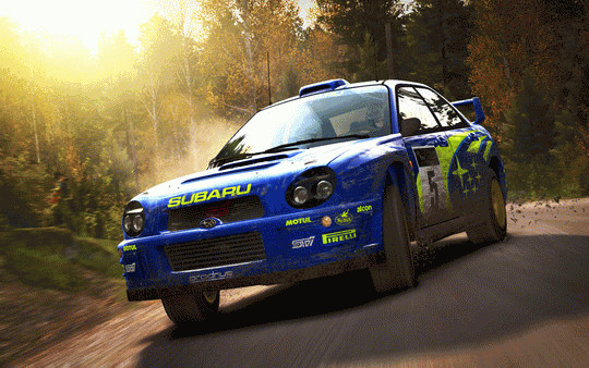 Игра DiRT Rally, скриншот