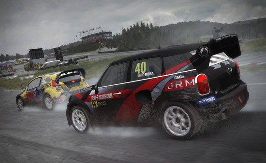 Игра DiRT Rally, скриншот