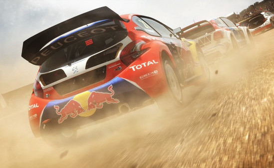 Игра DiRT Rally, скриншот