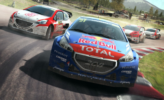 Игра DiRT Rally, скриншот
