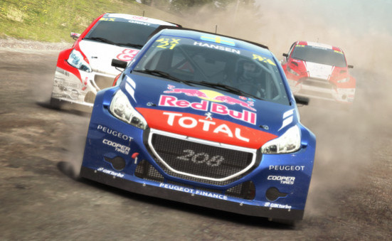 Игра DiRT Rally, скриншот