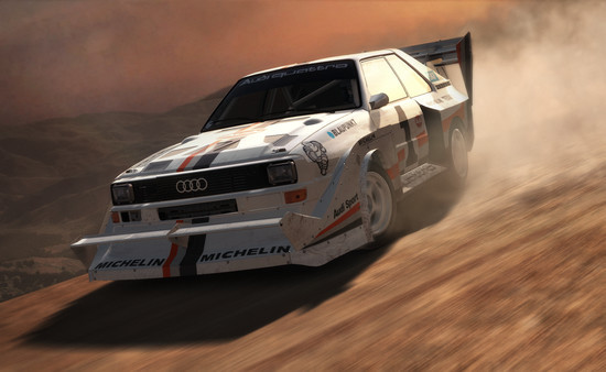 Игра DiRT Rally, скриншот